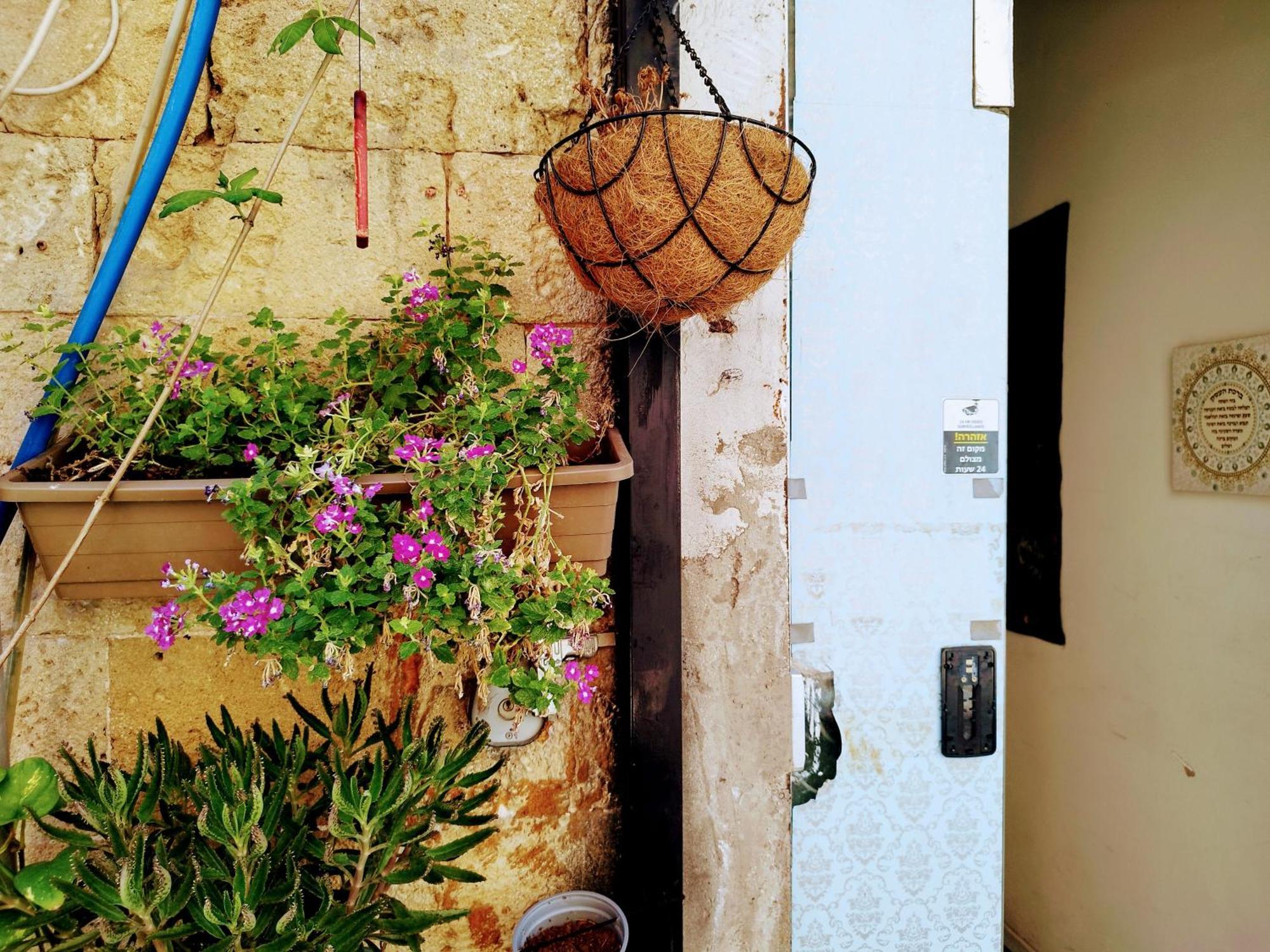 Albergue Polihosts Old Jaffa Tel Aviv Exterior foto
